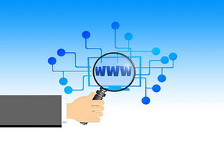 互联网时代经销商的新品选择策略 数据驱动与价值共创