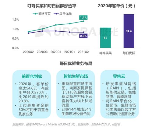 极光2021年Q2移动互联网行业数据研究报告 互联网销售篇